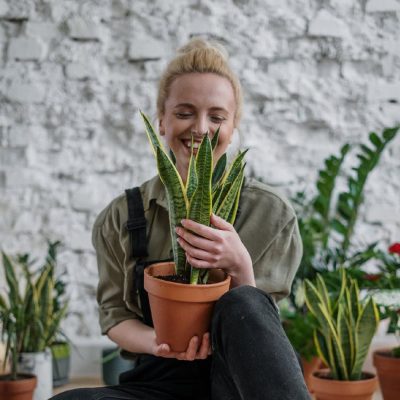 Image of a woman holding a plant